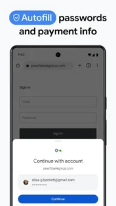 Google Chrome 2