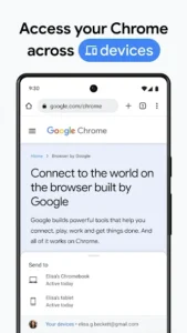 Google Chrome 5