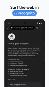 Google Chrome 6