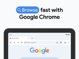 Google Chrome 8